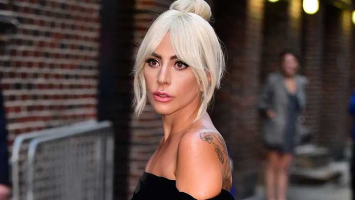 Awareness of Surroundings and Skepticism (Vigilance) in Lady Gaga